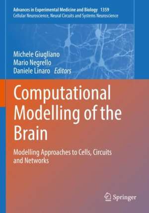 Computational Modelling of the Brain: Modelling Approaches to Cells, Circuits and Networks de Michele Giugliano