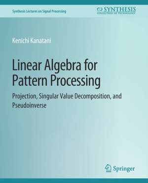 Linear Algebra for Pattern Processing: Projection, Singular Value Decomposition, and Pseudoinverse de Kenichi Kanatani