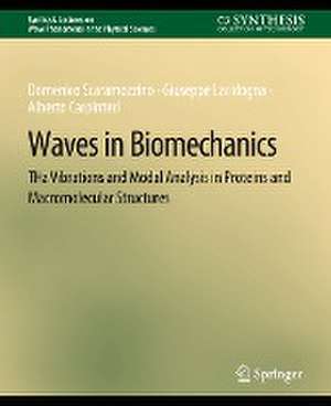 Waves in Biomechanics: THz Vibrations and Modal Analysis in Proteins and Macromolecular Structures de Domenico Scaramozzino