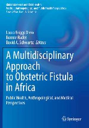 A Multidisciplinary Approach to Obstetric Fistula in Africa: Public Health, Anthropological, and Medical Perspectives de Laura Briggs Drew