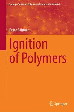 Ignition of Polymers de Peter Rantuch