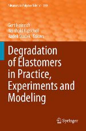 Degradation of Elastomers in Practice, Experiments and Modeling de Gert Heinrich