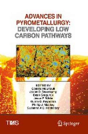 Advances in Pyrometallurgy: Developing Low Carbon Pathways de Camille Fleuriault