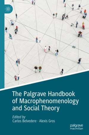 The Palgrave Handbook of Macrophenomenology and Social Theory de Carlos Belvedere