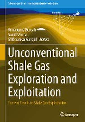 Unconventional Shale Gas Exploration and Exploitation: Current Trends in Shale Gas Exploitation de Annapurna Boruah