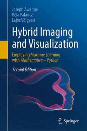 Hybrid Imaging and Visualization de Joseph Awange