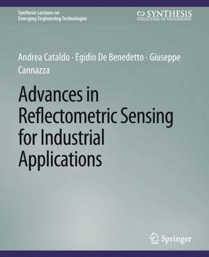 Advances in Reflectometric Sensing for Industrial Applications de Andrea Cataldo