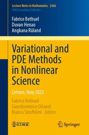 Variational and PDE Methods in Nonlinear Science de Fabrice Bethuel