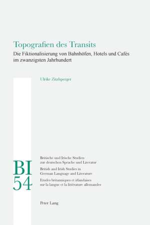 Topografien Des Transits: Die Fiktionalisierung Von Bahnhoefen, Hotels Und Cafes Im Zwanzigsten Jahrhundert de Ulrike Zitzlsperger