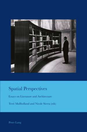 Spatial Perspectives de Terri Mullholland