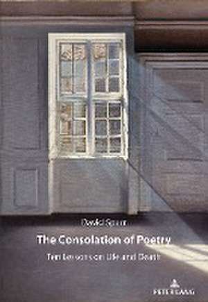 Consolation of Poetry de David Spurr