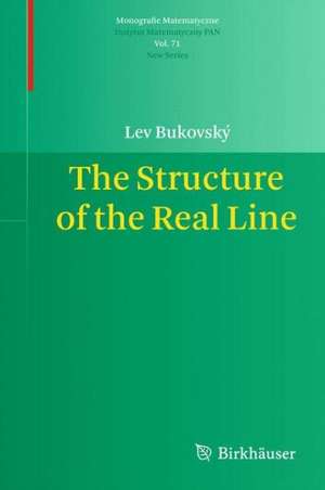 The Structure of the Real Line de Lev Bukovský