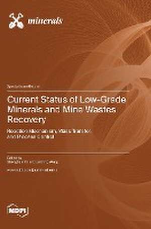 Current Status of Low-Grade Minerals and Mine Wastes Recovery