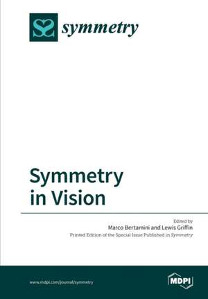 Symmetry in Vision de Lewis Griffin