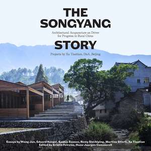 The Songyang Story: Architectural Acupuncture as Driver for Socio-Economic Progress in Rural China. Projects by Xu Tiantian, DnA_Beijing de Kirsten Feireiss