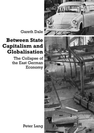 Between State Capitalism and Globalisation de Gareth Dale