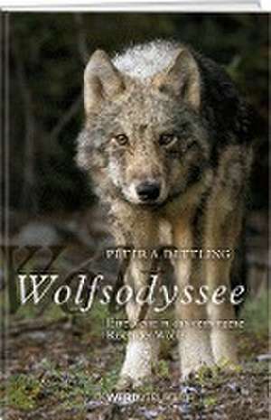 Wolfsodyssee de Peter A. Dettling