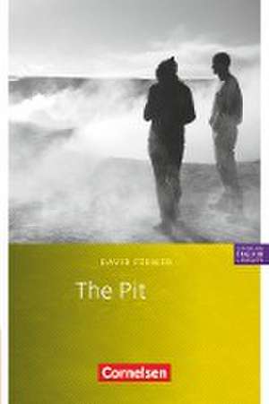 The Pit de David Fermer