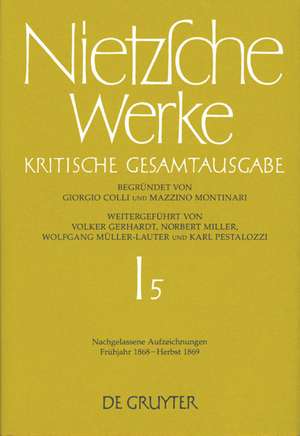 Nachgelassene Aufzeichnungen. Frühjahr 1868 - Herbst 1869 de Johann Figl