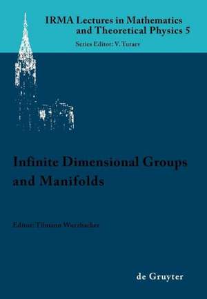 Infinite Dimensional Groups and Manifolds de Tilmann Wurzbacher