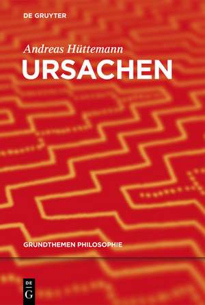 Ursachen de Andreas Hüttemann