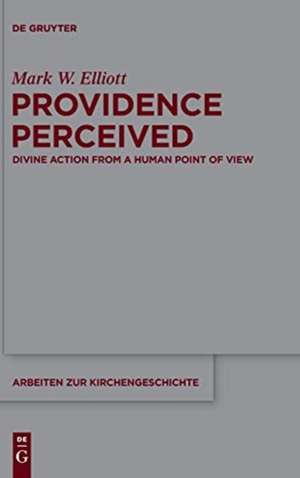 Providence Perceived: Divine Action from a Human Point of View de Mark W. Elliott