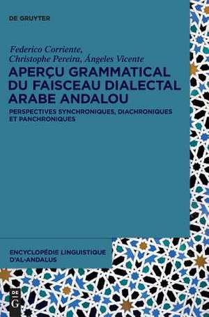 Aperçu grammatical du faisceau dialectal arabe andalou: Perspectives synchroniques, diachroniques et panchroniques de Federico Corriente