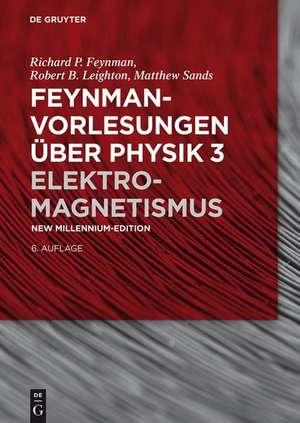 Elektromagnetismus de Richard P. Feynman