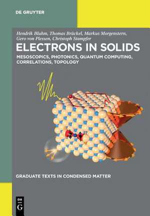 Electrons in Solids de Hendrik Bluhm