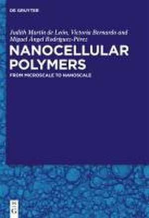 Nanocellular Polymers de Miguel Angel Rodríguez Pérez