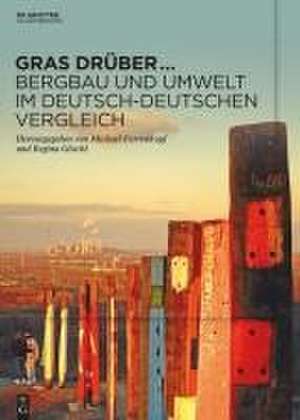 Gras drüber ... Bergbau und Umwelt im deutsch-deutschen Vergleich de Michael Farrenkopf