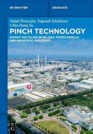 Pinch Technology de Vahid Pirouzfar