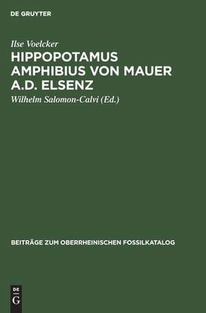 Hippopotamus amphibius von Mauer a.d. Elsenz de Ilse Voelcker