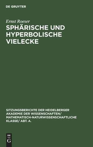 Sphärische und hyperbolische Vielecke de Ernst Roeser