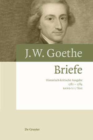 Johann Wolfgang von Goethe: Briefe / Briefe 1782  1784 de Elke Richter