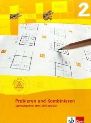 Probieren und Kombinieren. 2.Schuljahr. Arbeitsheft