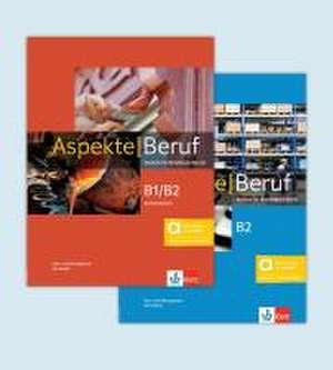 Aspekte Beruf B1/B2 Brückenelement und B2 - Hybride Ausgabe allango