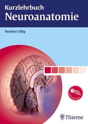 Kurzlehrbuch Neuroanatomie de Norbert Ulfig