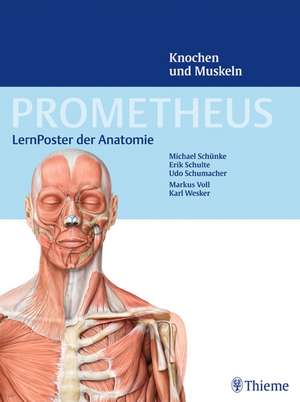 PROMETHEUS LernPoster der Anatomie, Knochen und Muskeln de Erik Schulte