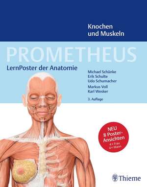 PROMETHEUS LernPoster der Anatomie, Knochen und Muskeln de Michael Schünke