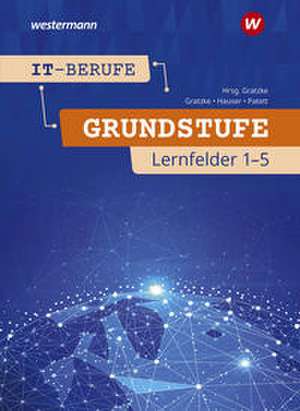 IT-Berufe de Ingo Patett