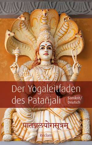 Påtañjalayogasutram / Der Yogaleitfaden des Patañjali de Reinhard Palm