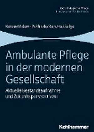 Ambulante Pflege in der modernen Gesellschaft de Ruth Ketzer