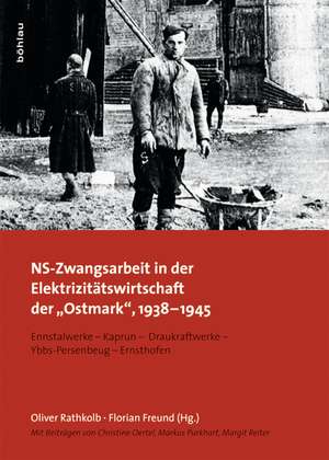 NS-Zwangsarbeit in der Elektrizitätswirtschaft der "Ostmark", 1938-1945 de Oliver Rathkolb