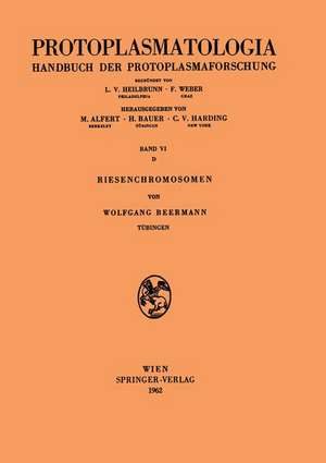 Riesenchromosomen de Wolfgang Beermann