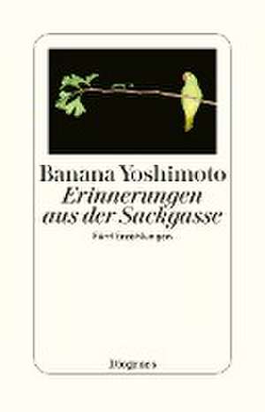 Erinnerungen aus der Sackgasse de Banana Yoshimoto