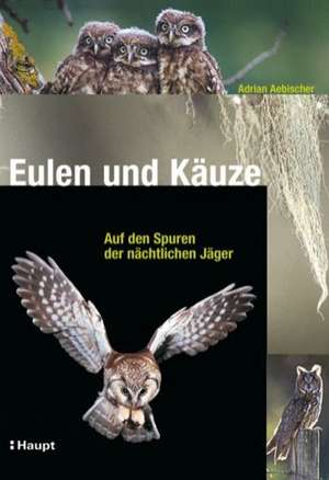 Eulen und Käuze de Adrian Aebischer