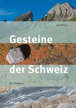 Gesteine der Schweiz de Jürg Meyer