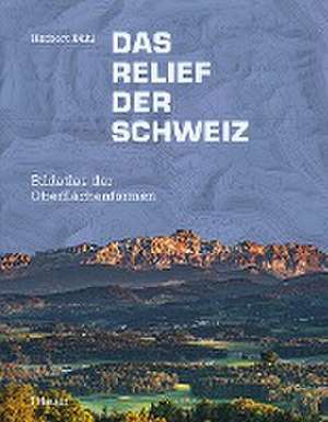 Das Relief der Schweiz de Herbert Bühl