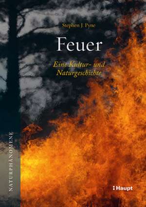 Feuer de Stephen J. Pyne